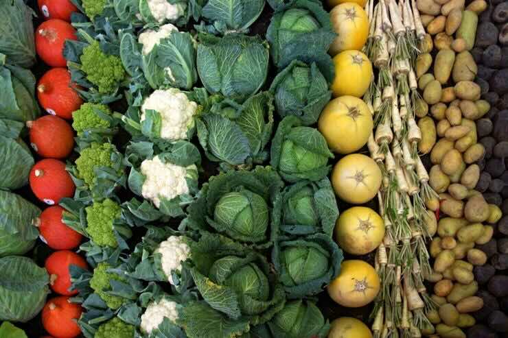 Verdura dimagrante: la migliore secondo i dietologi