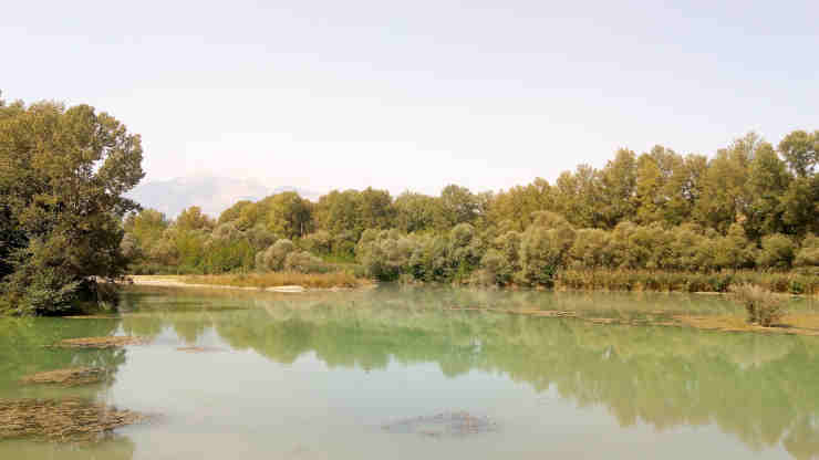 Oasi WWF Lago di Serranella 