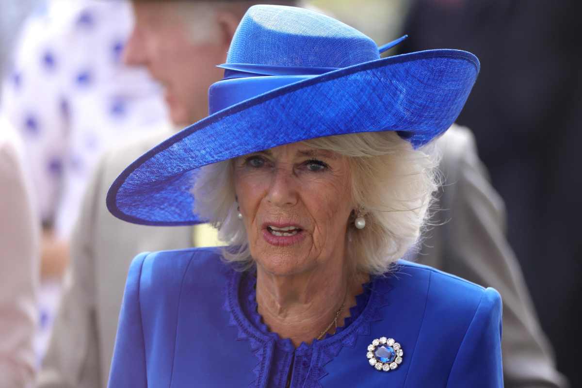 Camilla kate dettaglio vestito regina