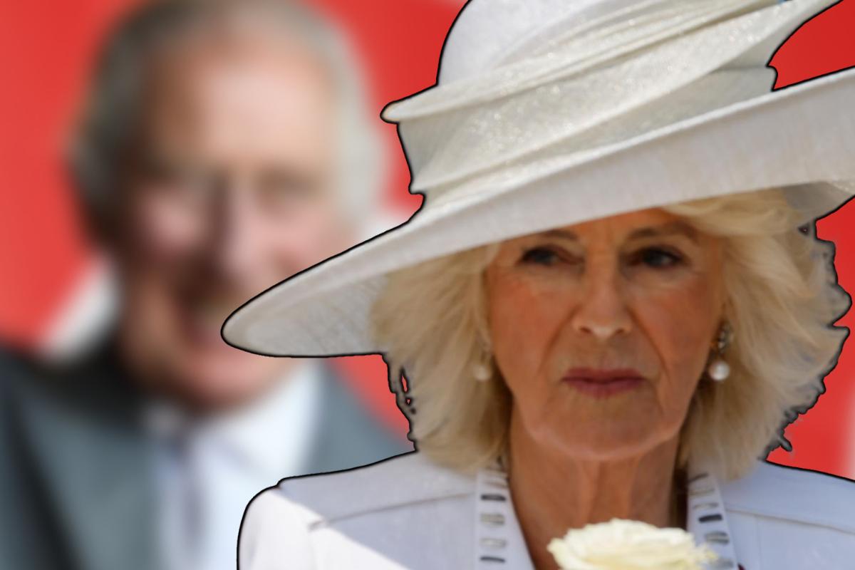 Perché Camilla è cambiata segreto che non tutti sanno