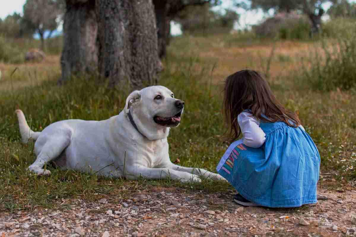 storia commovente bambina con cane